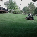 Falco Landscaping LLC