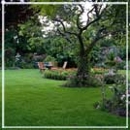 Skyline Sod Inc - Landscaping & Lawn Services