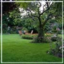 Skyline Sod Inc - Sod & Sodding Service