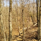 F. Gilbert Hills State forest