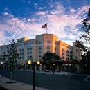Greater Pacific - Seafood Restaurants
