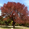 Ledges State Park gallery