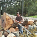 A Better Cut Tree Service - Tree Service