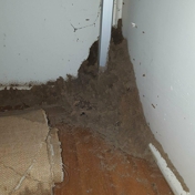 Gallery Image Number 7