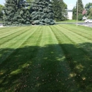 DD Lawn & Tree - Landscaping & Lawn Services