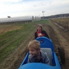 Sirna's Farm gallery