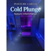 Posture Lab LA gallery
