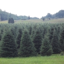 Olson's Balsams - Christmas Trees