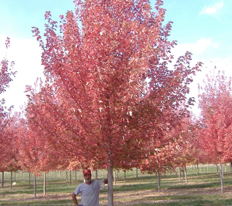 A. Brown & Sons Nursery Inc. - Brookville, OH