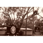 Gallery Image Number 1