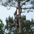 Hanson Tree Care, LLC