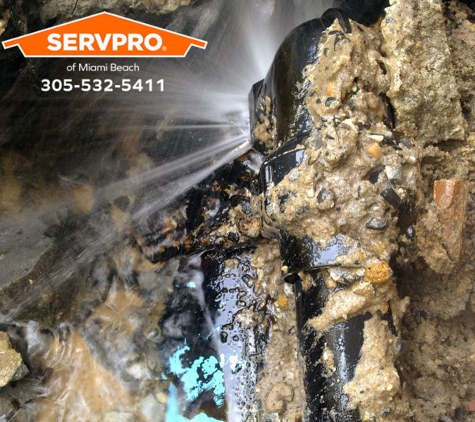 SERVPRO of Miami Beach - Miami Beach, FL