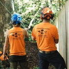 Lindsey's Tree Service