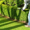 Adobe Hills All Season Lawn & Yard  Care gallery