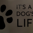 It's a Dog's Life Salon - Pet Grooming