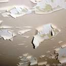 Lead Paint Consulting - Home Improvements