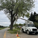 Beaver Creek Tree Service - Tree Service