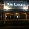 Red Lobster gallery