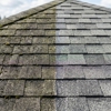 Action Pressure Washing gallery