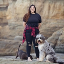Mr. Bodhi's Grub & Scrub - Pet Services
