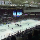 South Carolina Stingrays - Hockey Clubs