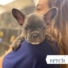 Fetch Specialty & Emergency Veterinary Centers - Greenville, SC