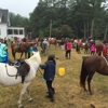 Road's End Farm Horsemanship gallery