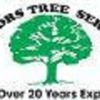 Victor Tree Service gallery
