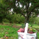 Barton Orchards - Hay Rides