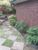 Maroondah Mowing - Lawn Cutting & Maintenance