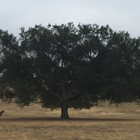 Kenneth Hahn State Recreation Area