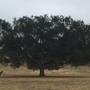 Kenneth Hahn State Recreation Area