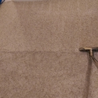 Mean Steam Carpet Clean