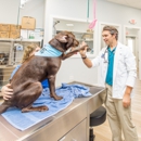 Paws In Paradise Animal Hospital