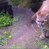 New York State Zoo at Thompson Park gallery