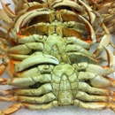 Monterey Fish Company