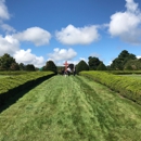 Worcester County Memorial Park - Cemeteries