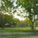 Gregory Hitt Attorney and Mediator - Attorneys