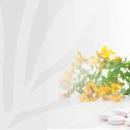 Lemus Natural Medicine Inc - Alternative Medicine & Health Practitioners