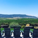 Fidelitas Wines - Wine