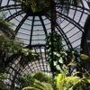 Botanical Building and Lily Pond gallery