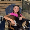 Bell Family Farm and Apiary gallery