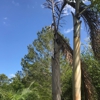 Impact Landscaping & Irrigation gallery
