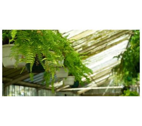 Paul's Plants - Carrara, QLD