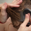 Lice Clinics of America - Rochester - Operated by Naughty Nits gallery