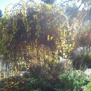 The Gardens at Heather Farm - Places Of Interest