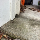Critter Control