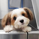 Scenthound Lee Branch - Pet Stores