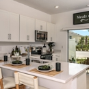 The Townhomes at Skye Ranch - Taylor Morrison