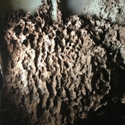 Gallery Image Number 3